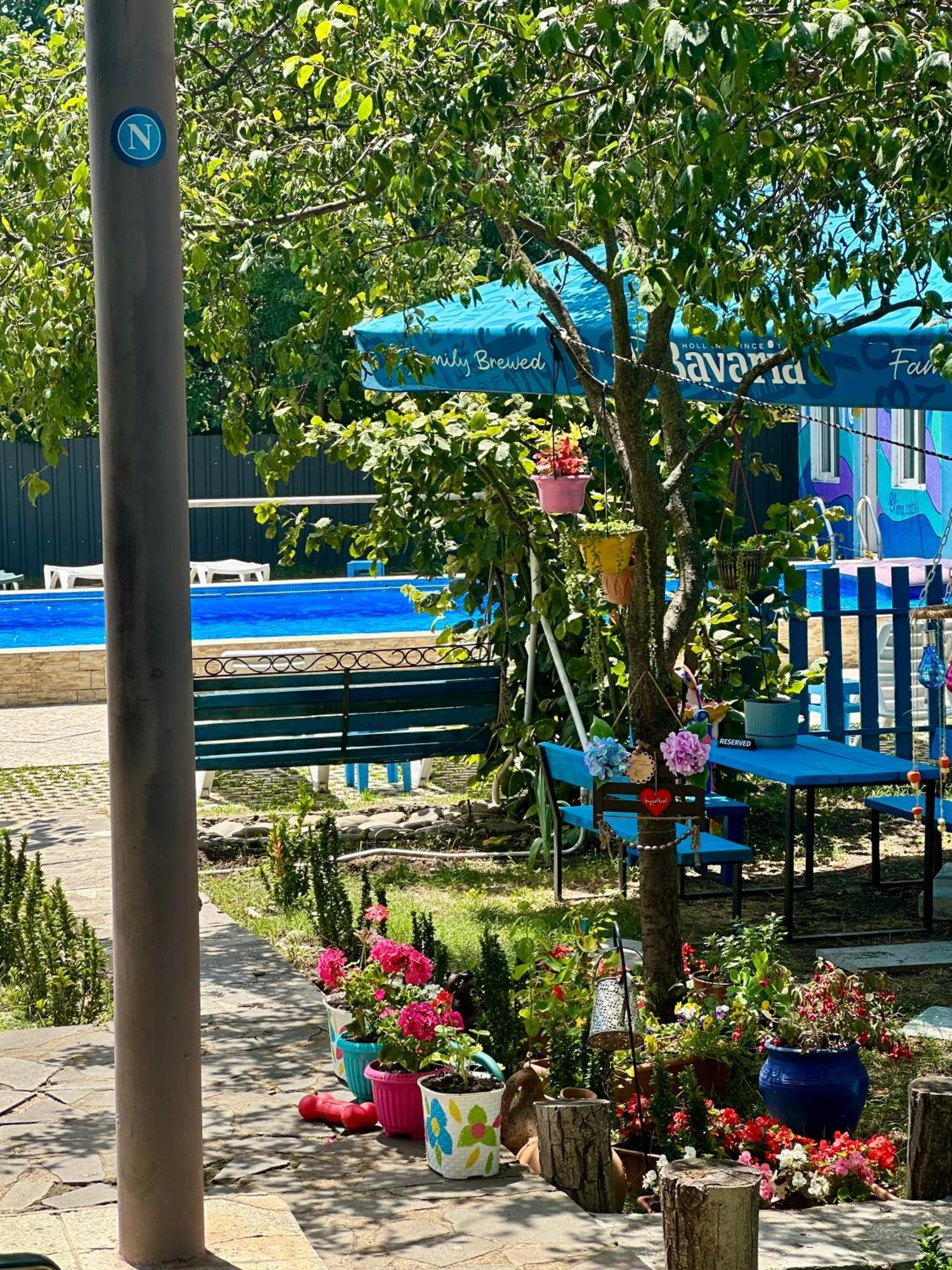 Napoli Nataxtari Hotel,Pool,Bar,Kamping Natakhtari Ngoại thất bức ảnh