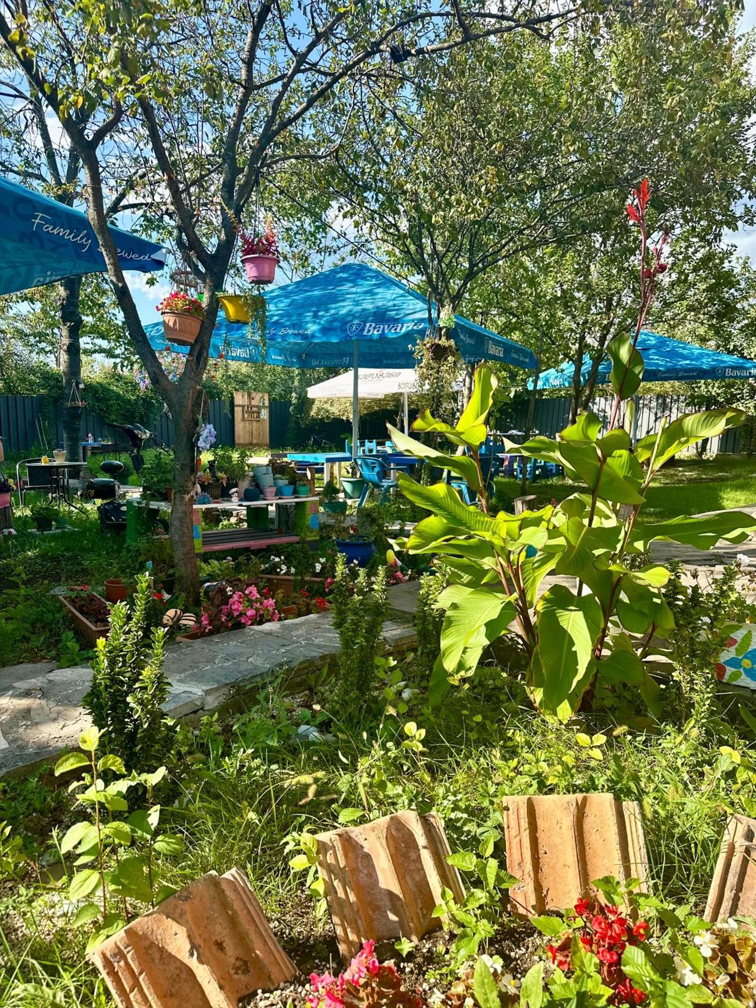 Napoli Nataxtari Hotel,Pool,Bar,Kamping Natakhtari Ngoại thất bức ảnh